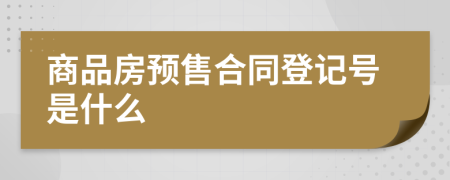 商品房预售合同登记号是什么