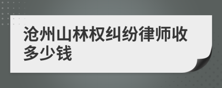 沧州山林权纠纷律师收多少钱