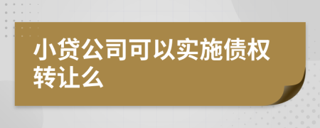 小贷公司可以实施债权转让么