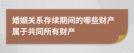 婚姻关系存续期间的哪些财产属于共同所有财产
