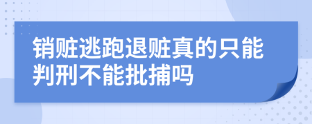 销赃逃跑退赃真的只能判刑不能批捕吗