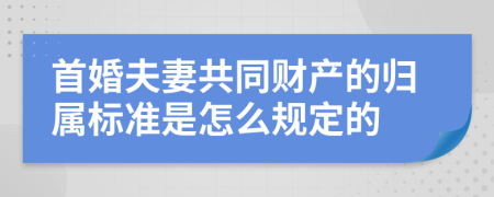 首婚夫妻共同财产的归属标准是怎么规定的