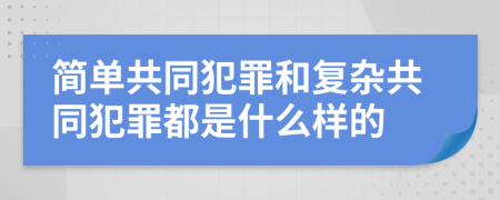 简单共同犯罪和复杂共同犯罪都是什么样的