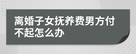 离婚子女抚养费男方付不起怎么办