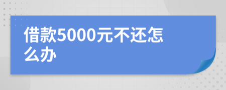 借款5000元不还怎么办