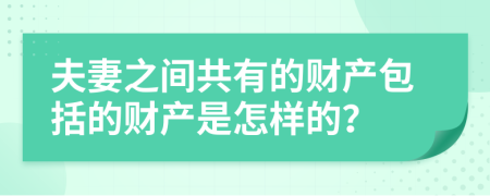 夫妻之间共有的财产包括的财产是怎样的？