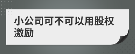 小公司可不可以用股权激励