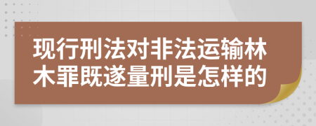 现行刑法对非法运输林木罪既遂量刑是怎样的