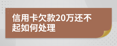 信用卡欠款20万还不起如何处理