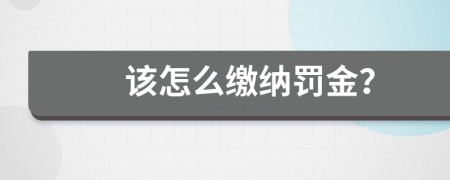 该怎么缴纳罚金？