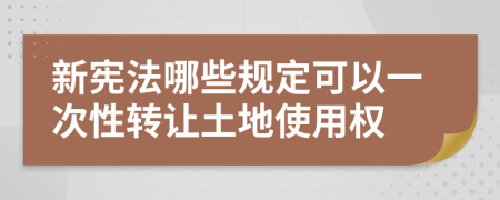 新宪法哪些规定可以一次性转让土地使用权