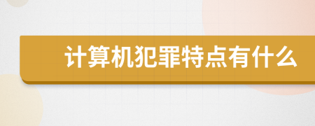 计算机犯罪特点有什么