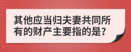 其他应当归夫妻共同所有的财产主要指的是？