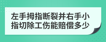 左手拇指断裂并右手小指切除工伤能赔偿多少