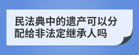 民法典中的遗产可以分配给非法定继承人吗