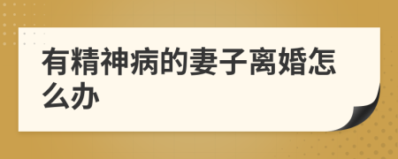 有精神病的妻子离婚怎么办