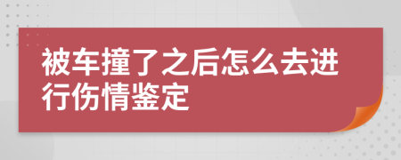 被车撞了之后怎么去进行伤情鉴定