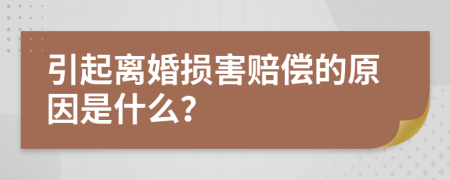 引起离婚损害赔偿的原因是什么？