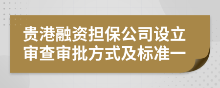 贵港融资担保公司设立审查审批方式及标准一