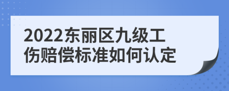 2022东丽区九级工伤赔偿标准如何认定