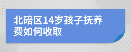 北碚区14岁孩子抚养费如何收取