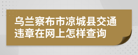 乌兰察布市凉城县交通违章在网上怎样查询