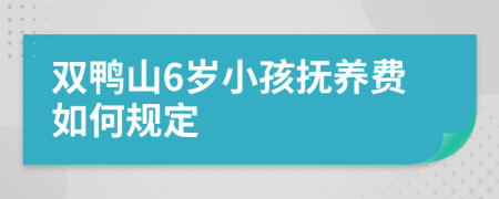 双鸭山6岁小孩抚养费如何规定