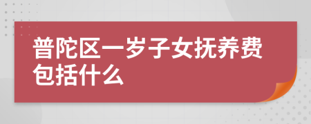 普陀区一岁子女抚养费包括什么