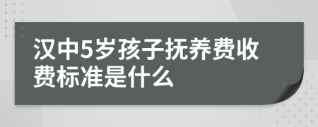 汉中5岁孩子抚养费收费标准是什么