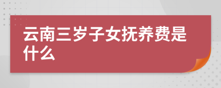 云南三岁子女抚养费是什么