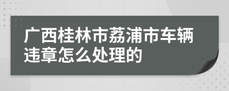 广西桂林市荔浦市车辆违章怎么处理的