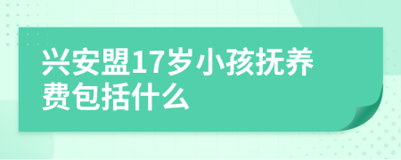 兴安盟17岁小孩抚养费包括什么