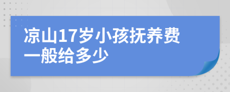 凉山17岁小孩抚养费一般给多少