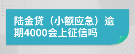 陆金贷（小额应急）逾期4000会上征信吗