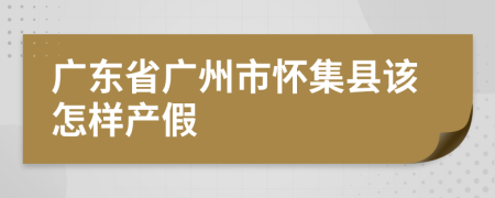 广东省广州市怀集县该怎样产假