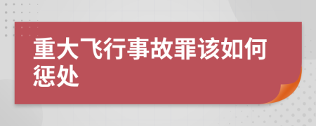 重大飞行事故罪该如何惩处