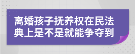 离婚孩子抚养权在民法典上是不是就能争夺到