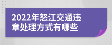 2022年怒江交通违章处理方式有哪些