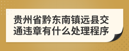 贵州省黔东南镇远县交通违章有什么处理程序