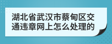 湖北省武汉市蔡甸区交通违章网上怎么处理的