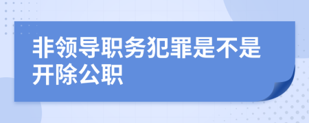 非领导职务犯罪是不是开除公职