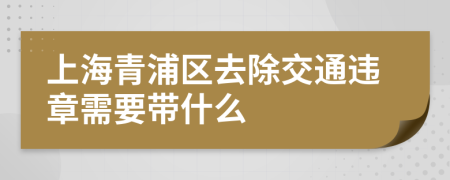 上海青浦区去除交通违章需要带什么