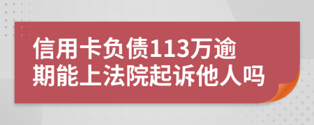 信用卡负债113万逾期能上法院起诉他人吗