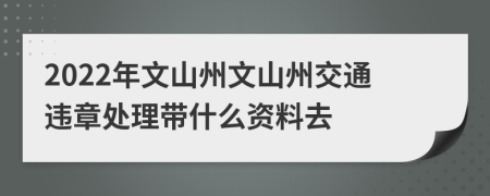 2022年文山州文山州交通违章处理带什么资料去