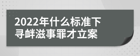 2022年什么标准下寻衅滋事罪才立案