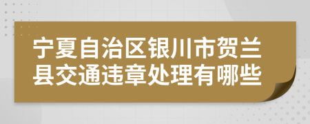 宁夏自治区银川市贺兰县交通违章处理有哪些