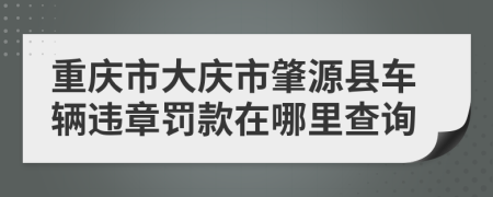 重庆市大庆市肇源县车辆违章罚款在哪里查询