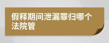 假释期间泄漏罪归哪个法院管