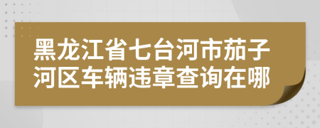 黑龙江省七台河市茄子河区车辆违章查询在哪