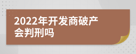 2022年开发商破产会判刑吗